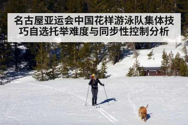 名古屋亚运会中国花样游泳队集体技巧自选托举难度与同步性控制分析